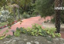 “Agosto nei Parchi” di Sanremo: yoga, danza e attività gratuite nei giardini cittadini Giardini Villa Ormond