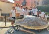 Una “Caretta caretta” avvistata al Parasio… ma è la tartaruga dei Delfini del Ponente protagonista di Imperiapolis delfini del ponente imperiapolis
