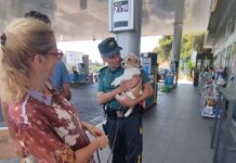 Imperia, in autostrada controlli dei Rangers sulle condizioni degli animali in viaggio con i padroni