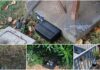 Sanremo intensifica il servizio di deratizzazione: più trappole ecologiche e pulizia straordinaria sul territorio