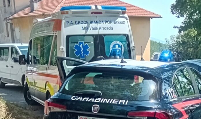 nava faggio nava faggio