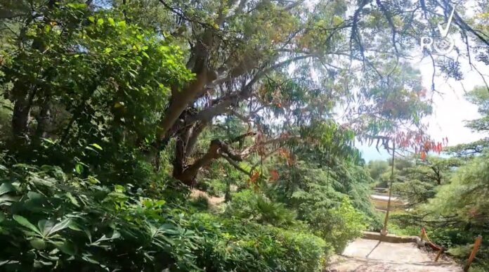 parco novaro costarainera parco novaro costarainera
