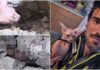 Perinaldo, gatto salvato dopo due giorni intrappolato in un’intercapedine. Ambulanze Veterinarie: “Ogni vita merita un’altra possibilitĂ ” Gatto Perinaldo Ambulanze Veterinarie