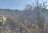 Sanremo, due incendi lungo la strada per San Romolo: Vigili del Fuoco in azione