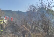 Sanremo, due incendi lungo la strada per San Romolo: Vigili del Fuoco in azione