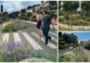 Imperia: via libera al progetto del nuovo bosco urbano sul Lungomare Amerigo Vespucci bosco-urbano-Imperia