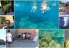 Imperia, grande partecipazione questa mattina per lo snorkeling alle Ratteghe: “Nuove date 28 agosto e 3 settembre” snorkeling Ratteghe Imperia