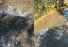 Imperia, perdita d’acqua a Poggi in strada del Colle Buscarin. La segnalazione dei residenti perdita acqua poggi imperia