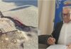 Vallecrosia al Mare, il sindaco Perri diffida FiberCop e Open Fiber