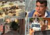 Imperia, pino tagliato in via Pirinoli. La protesta del consigliere Ivan Bracco pino tagliato via pirinoli imperia