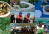 A San Bartolomeo al Mare va in scena il ‘Pestival 2026’: turisti si sfidano a colpi di mortaio sotto la guida del campione Mario Mazzilli Pestival 2026