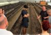 Sanremo, prosegue il percorso Scuola di Floricoltura Applicata: settimana prossima la seconda lezione