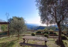 Trekking “Borghi di Ponente”, domenica 13 settembre escursione da Chiusanico al Pizzo d’Evigno