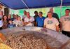 Molini di Triora, torna la Sagra della Lumaca: 65 anni di tradizione in valle Argentina sagra della lumaca molini di triora