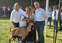 Mendatica gremita per il ritorno del Palio delle Capre: Chiara e Siria conquistano l’edizione 2026 palio delle capre mendatica