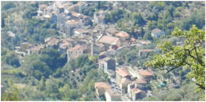 moltedo