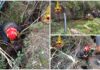 Sanremo, vitello cade in un vascone d’acqua a Verezzo: salvato dai Vigili del Fuoco dopo quattro ore di intervento Sanremo, vitello cade in un vascone d’acqua a Verezzo_ salvato dai Vigili del Fuoco dopo quattro ore
