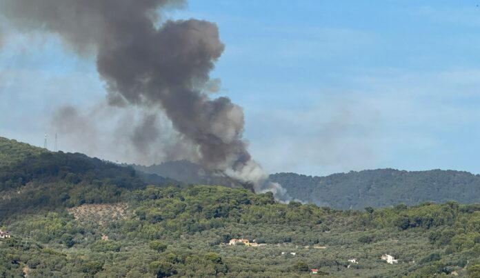 incendio san bartolomeo al mare incendio san bartolomeo al mare