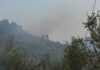 Incendio alla Mortola, fiamme verso i Giardini Hanbury: chiusa la frontiera alta incendio mortola