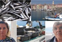 Imperia, la pesca perde imbarcazioni e giovani: “Il settore non attira più. Eravamo 27 nel 1985 a Calata Cuneo, ora siamo rimasti in 4” pesca imperiese