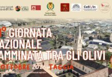 Taggia, torna la “Camminata tra gli Olivi”: appuntamento il 25 ottobre
