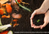 Diano Marina, compostaggio domestico: scattano i controlli sulle utenze e sulle agevolazioni TARI Compost