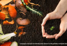 Diano Marina, compostaggio domestico: scattano i controlli sulle utenze e sulle agevolazioni TARI Compost