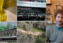 Ottima annata per le olive taggiasche nell’imperiese, Paolo Boeri (Olio Roi): “Tanto prodotto da lavorare, i frantoi devono organizzare la raccolta” paolo boeri annata olio